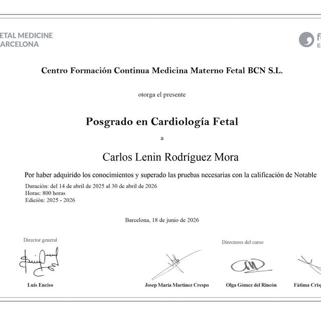 Ampliar imagen: certificate 4