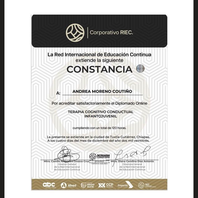 Ampliar imagen: certificate 13