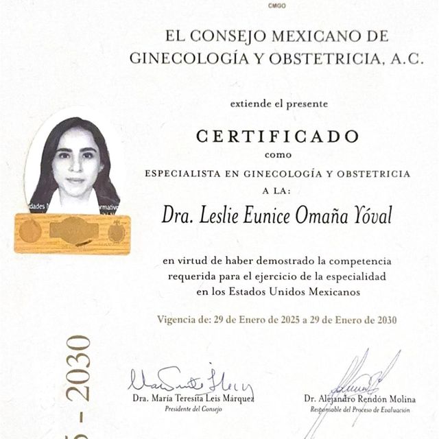 Ampliar imagen: certificate 5
