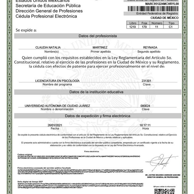 Ampliar imagen: certificate 1