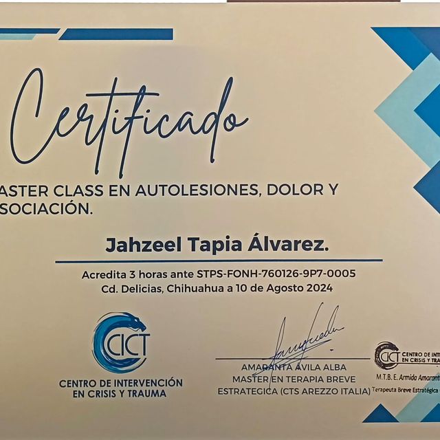 Ampliar imagen: certificate 11