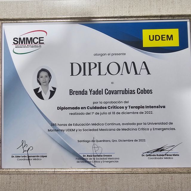 Ampliar imagen: certificate 3