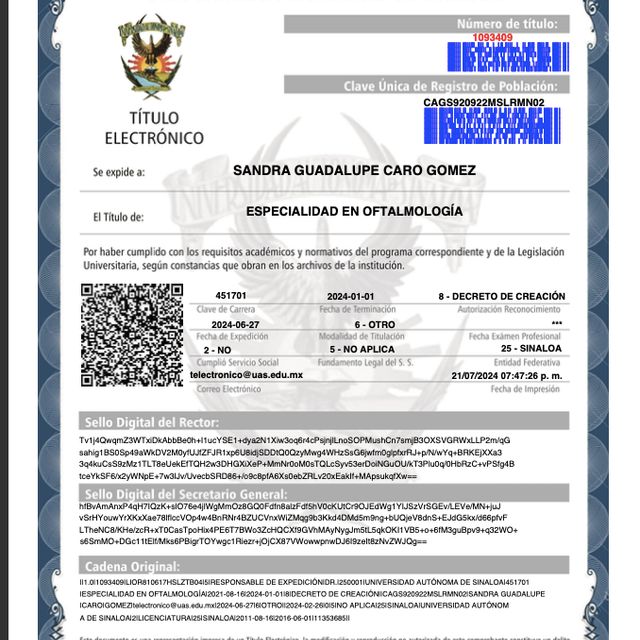 Ampliar imagen: certificate 3