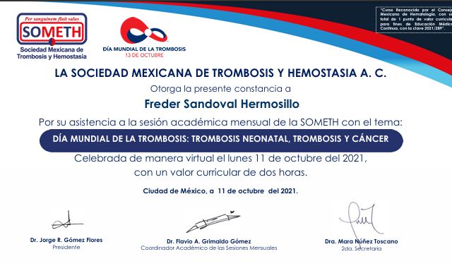 Ampliar imagen: certificate 3