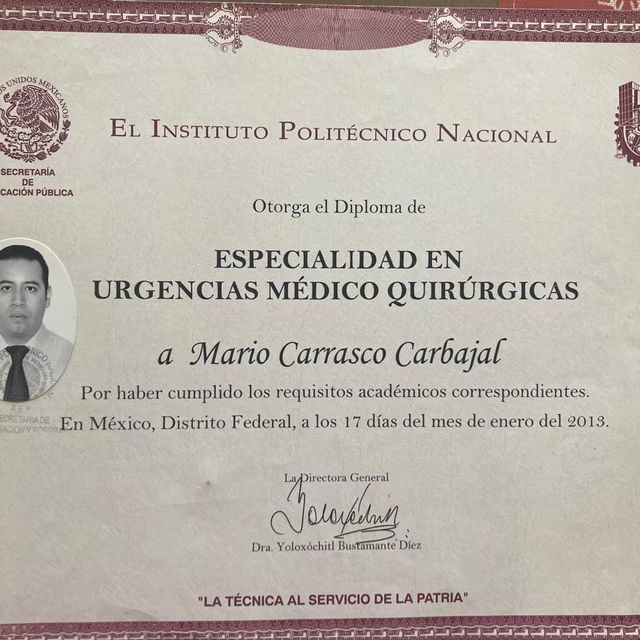 Ampliar imagen: certificate 5