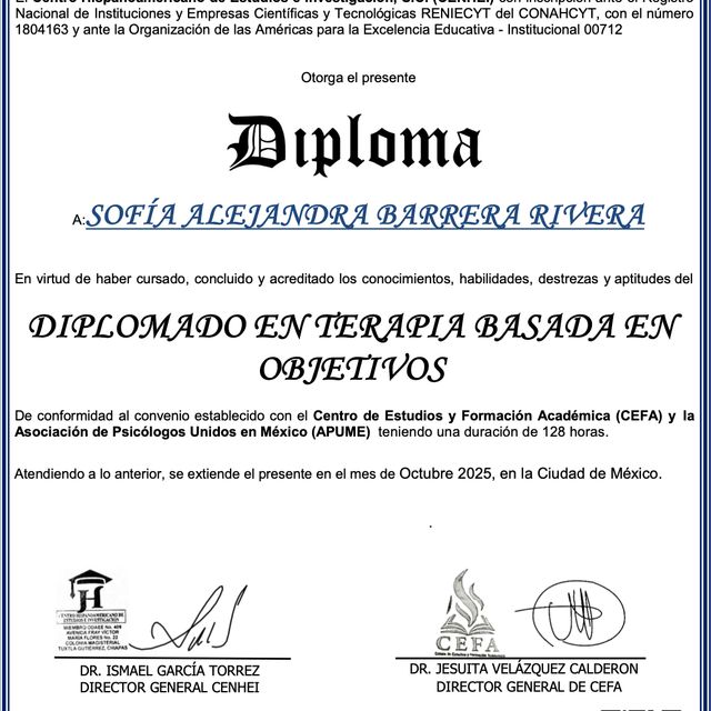 Ampliar imagen: certificate 4