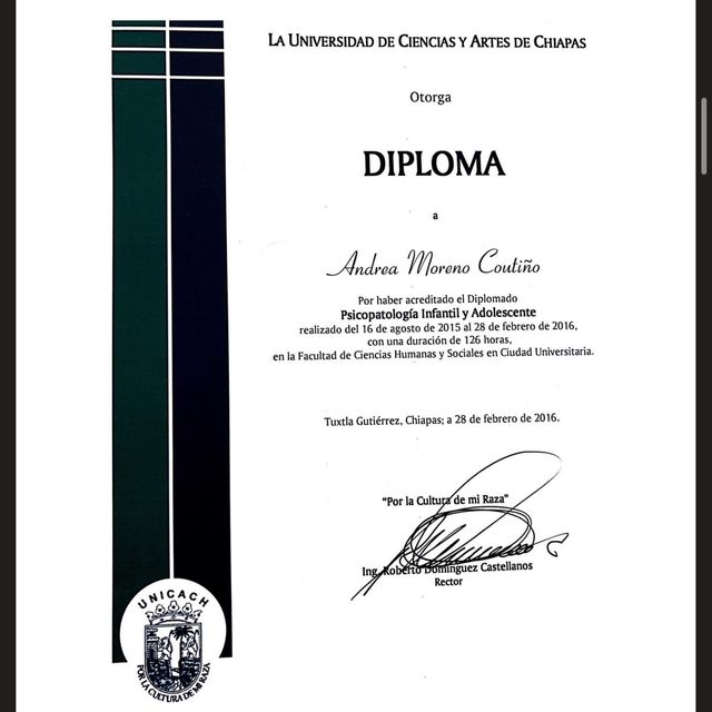 Ampliar imagen: certificate 6