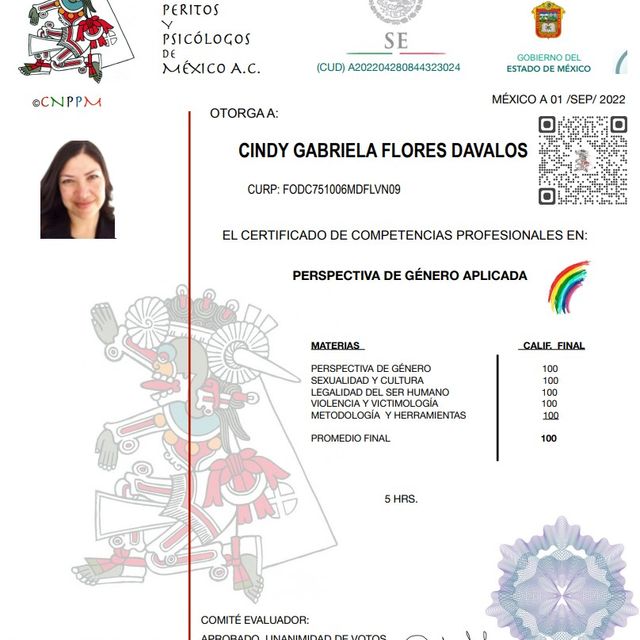 Ampliar imagen: certificate 6