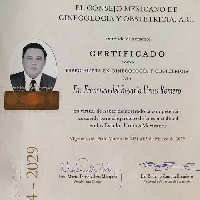 Ampliar imagen: certificate 1