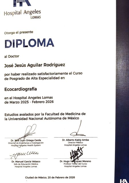 Ampliar imagen: certificate 3