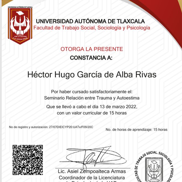 Ampliar imagen: certificate 17
