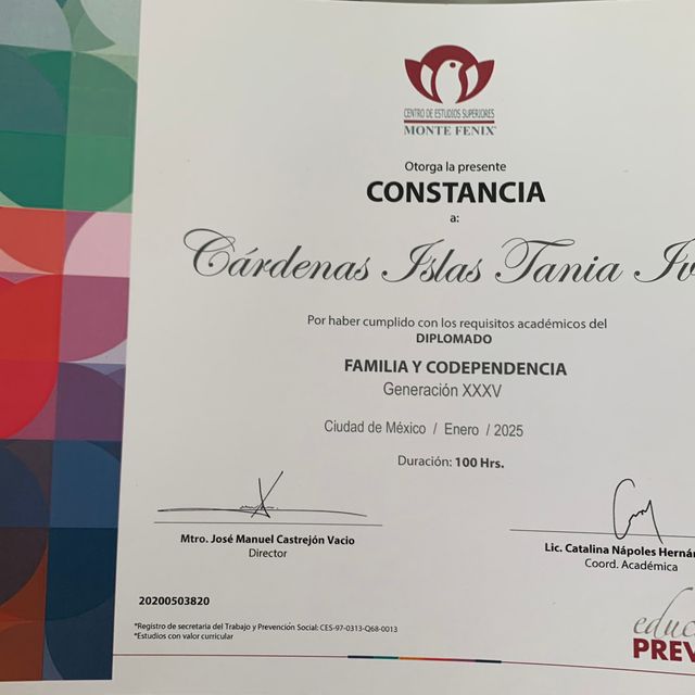 Ampliar imagen: certificate 6