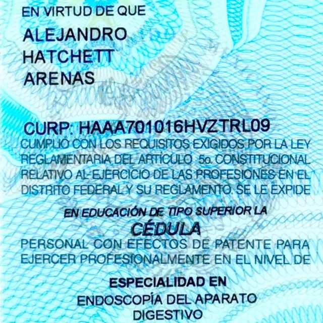 Ampliar imagen: certificate 7