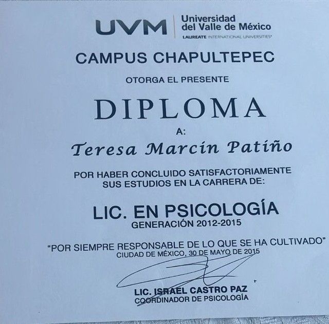 Ampliar imagen: certificate 4