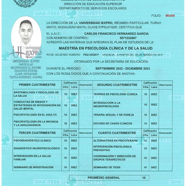 Ampliar imagen: certificate 5