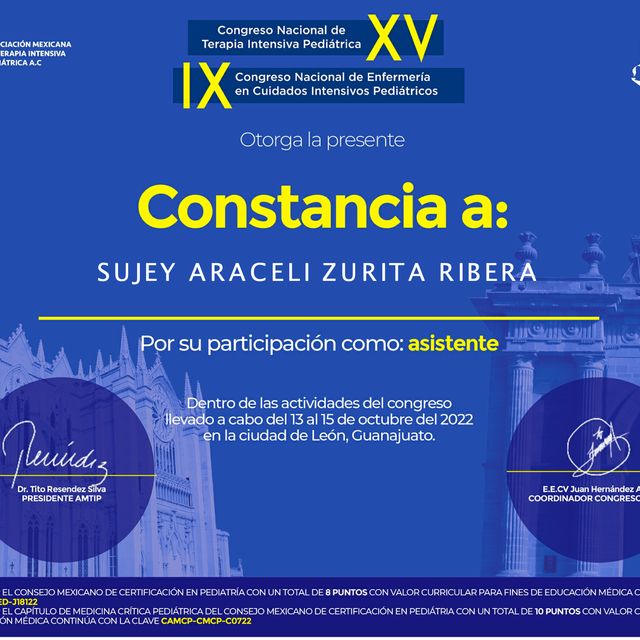 Ampliar imagen: certificate 10