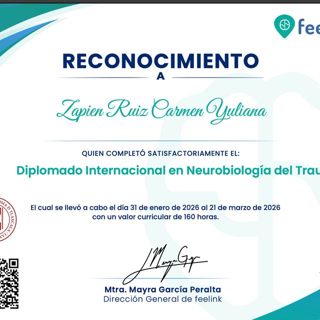 Ampliar imagen: certificate 5