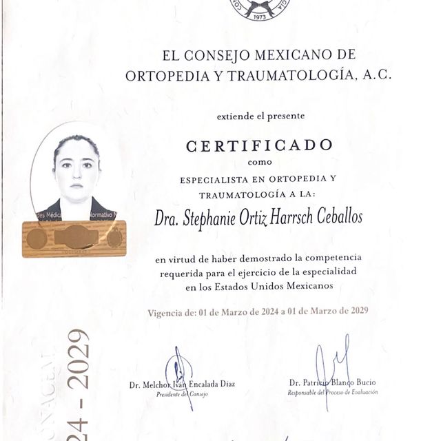 Ampliar imagen: certificate 1