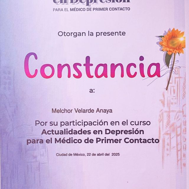 Ampliar imagen: certificate 8