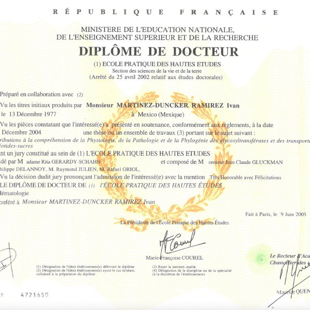 Ampliar imagen: certificate 4