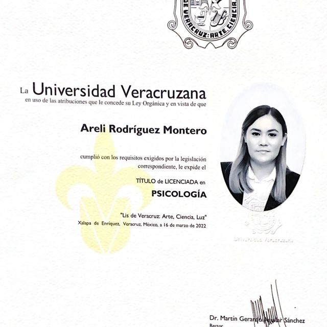 Ampliar imagen: certificate 5