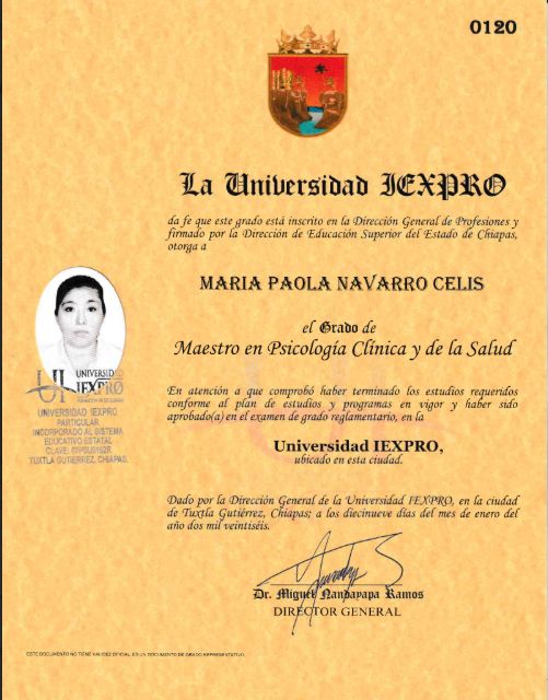 Ampliar imagen: certificate 1
