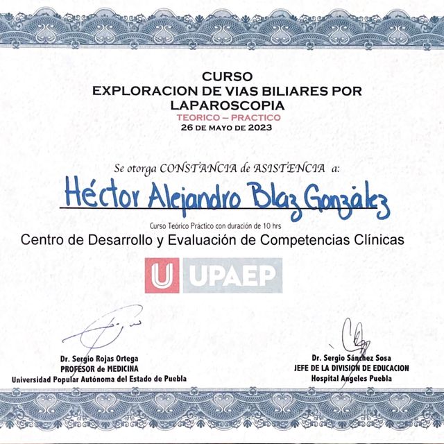 Ampliar imagen: certificate 3