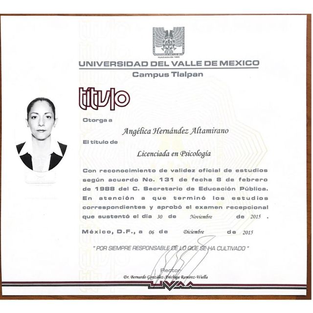 Ampliar imagen: certificate 1