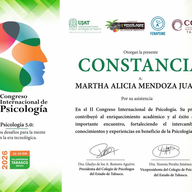 Ampliar imagen: certificate 3