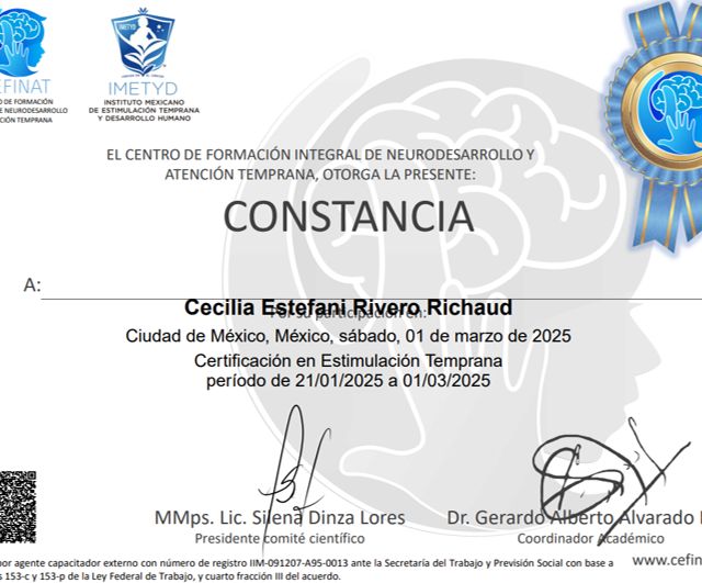 Ampliar imagen: certificate 4