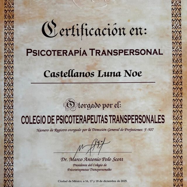 Ampliar imagen: certificate 14