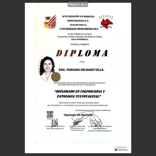 Ampliar imagen: certificate 12