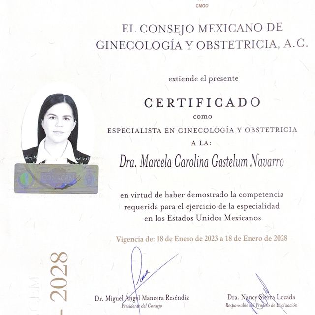 Ampliar imagen: certificate 6