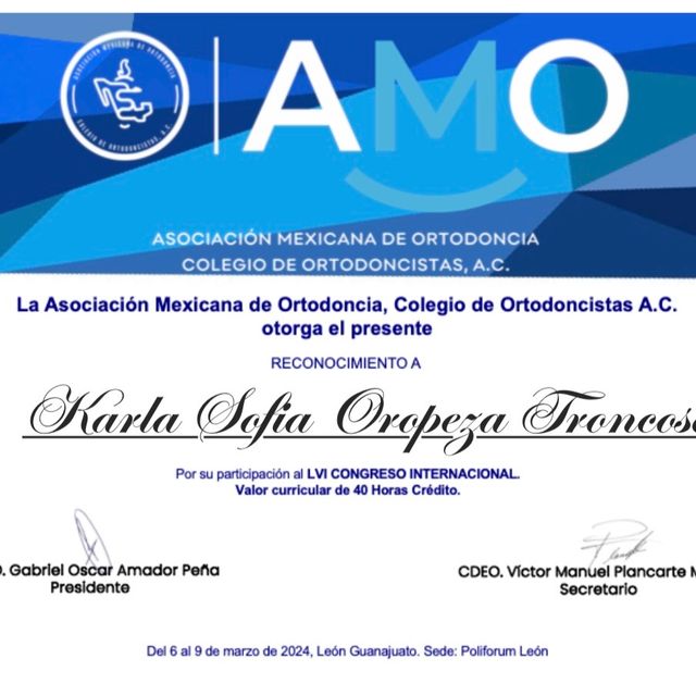 Ampliar imagen: certificate 2