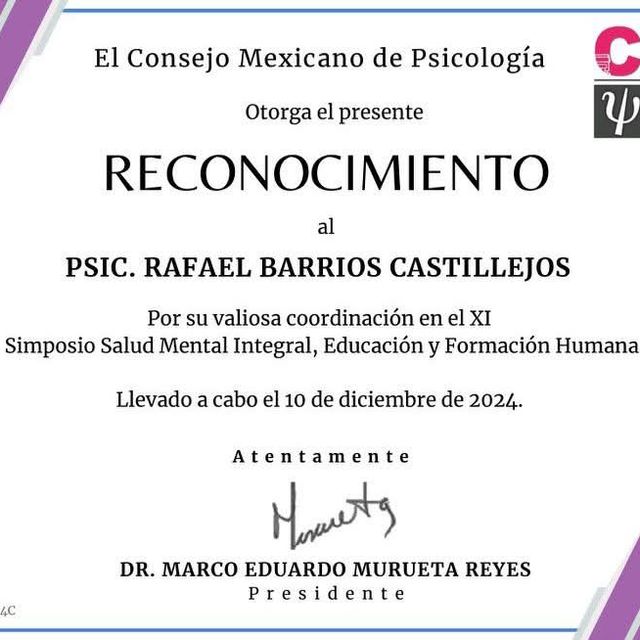 Ampliar imagen: certificate 13