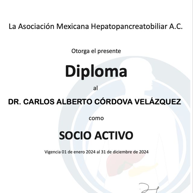 Ampliar imagen: certificate 8