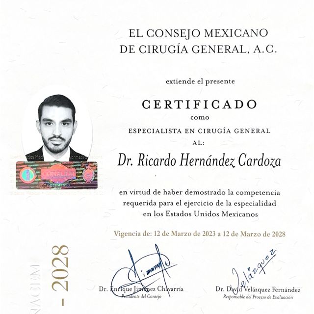 Ampliar imagen: certificate 3
