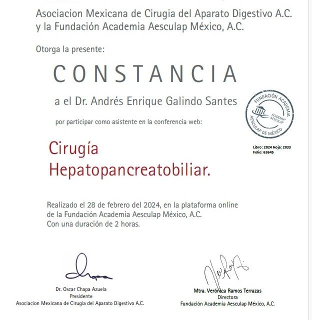 Ampliar imagen: certificate 7
