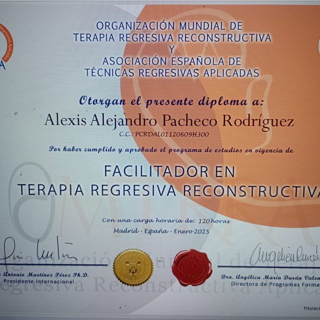 Ampliar imagen: certificate 6