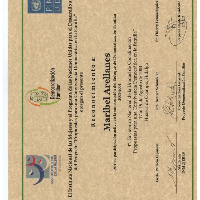 Ampliar imagen: certificate 3