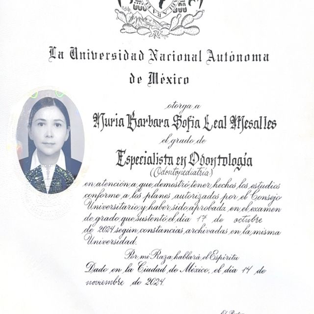 Ampliar imagen: certificate 2