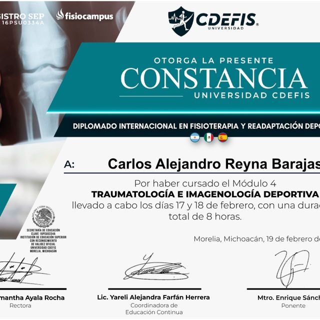 Ampliar imagen: certificate 5