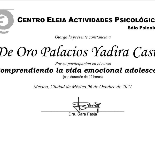 Ampliar imagen: certificate 11