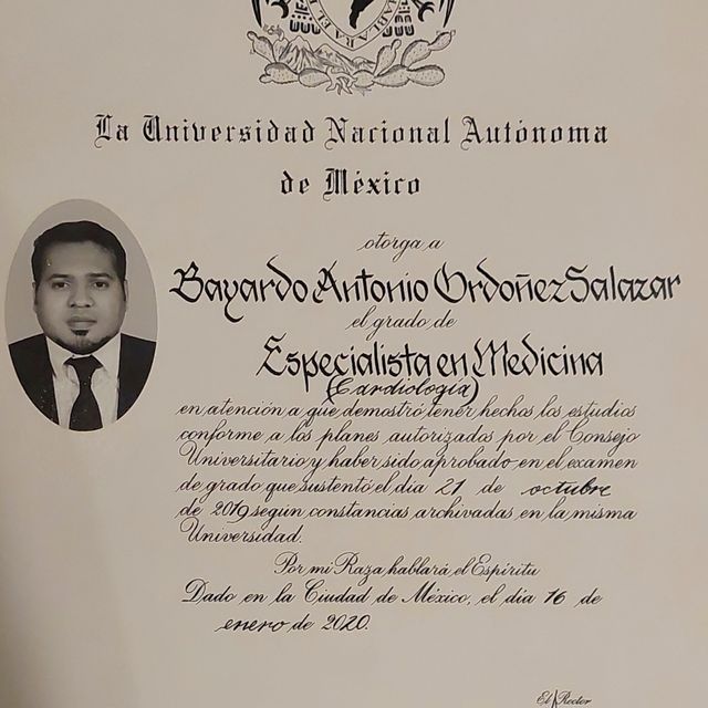 Ampliar imagen: certificate 3