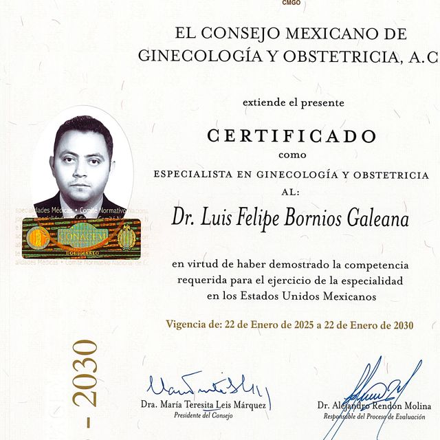 Ampliar imagen: certificate 4