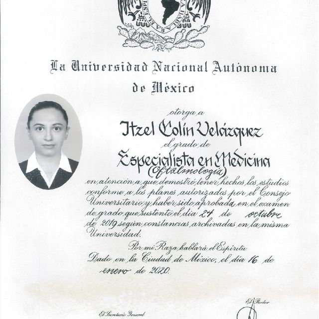 Ampliar imagen: certificate 2