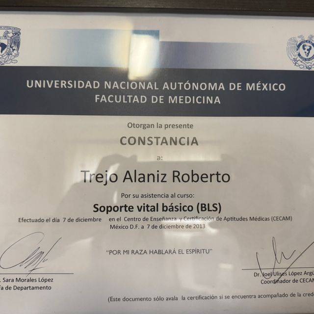 Ampliar imagen: certificate 4