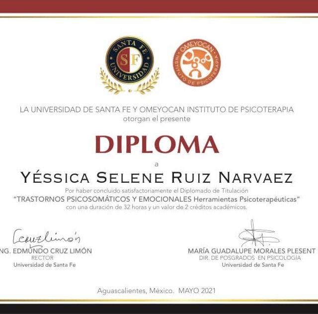 Ampliar imagen: certificate 6