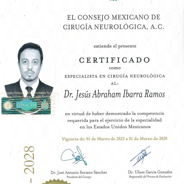 Ampliar imagen: certificate 3