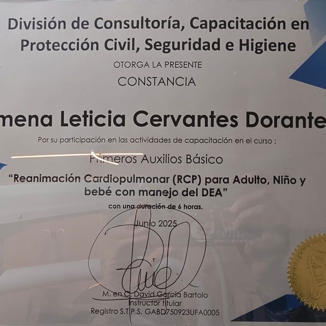 Ampliar imagen: certificate 3